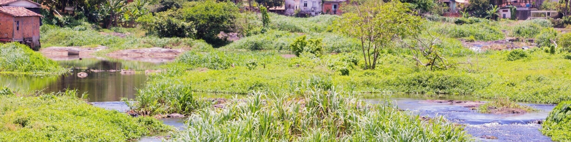 View of shallows of Rio Jaguaripe in Nazaré, Bahia, Brazil.