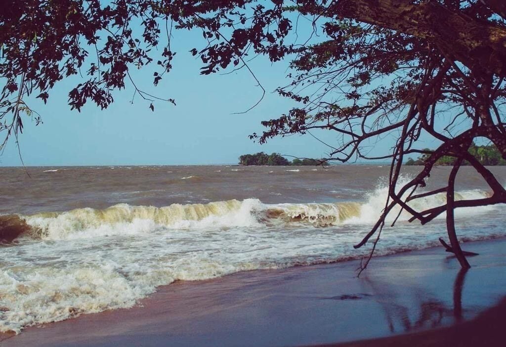 Ilha do Mosqueiro • Pará • Mosqueiro is an island near the south bank of the Pará River in the Brazilian state of Pará. Since July 6, 1989, the northwest coast of the island has comprised an administrative district of the city of Belém, roughly 67 km north of the downtown area of the city #amazonia #amazonriver #brazil #nature #sweetbeach