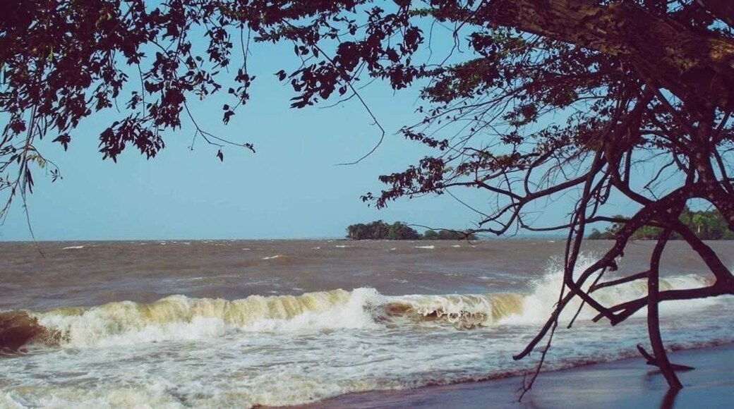 Ilha do Mosqueiro • Pará • Mosqueiro is an island near the south bank of the Pará River in the Brazilian state of Pará. Since July 6, 1989, the northwest coast of the island has comprised an administrative district of the city of Belém, roughly 67 km north of the downtown area of the city #amazonia #amazonriver #brazil #nature #sweetbeach