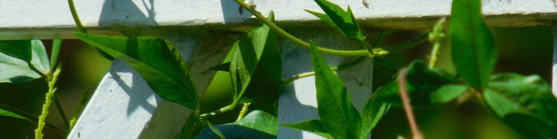 It totally looked at me