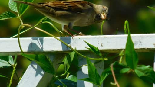 It totally looked at me