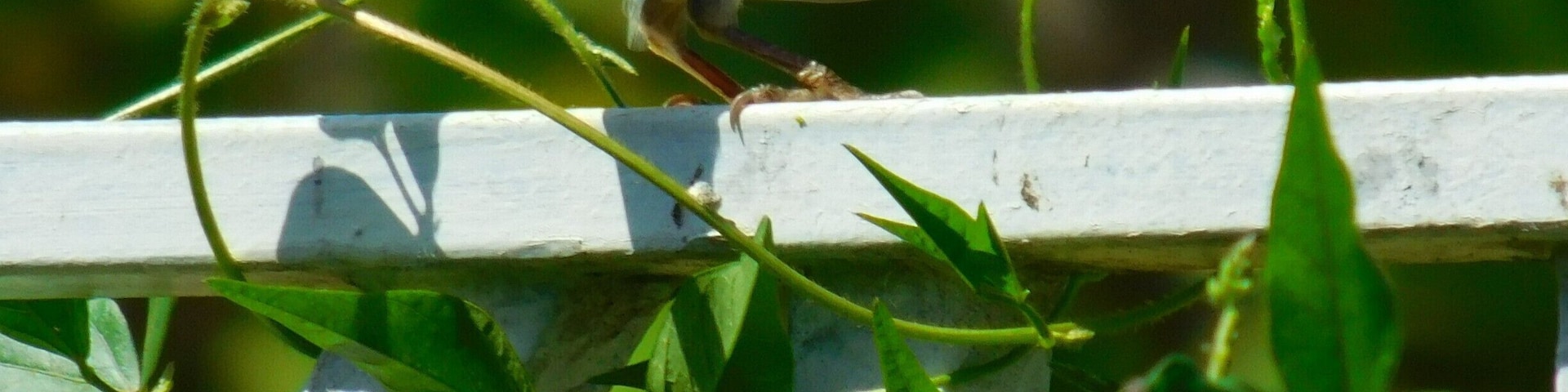 It totally looked at me