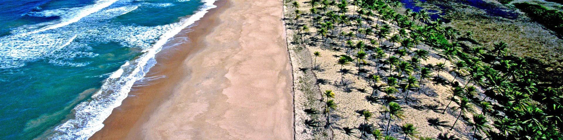 Praia Costa do Sauípe. Bahia.