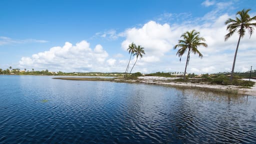Costa do Sauipe - the northeastern coast landscape in Bahia