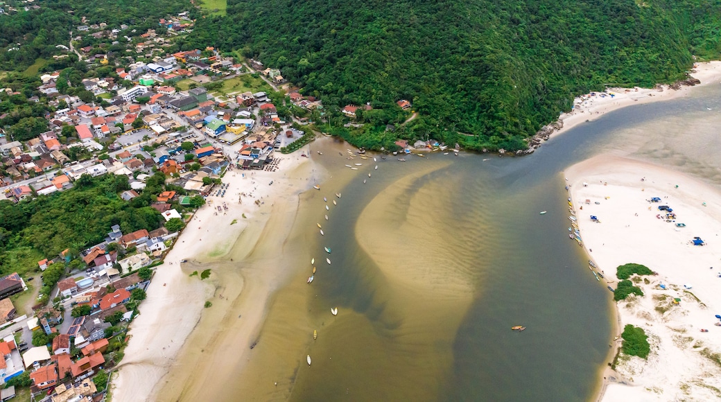 An aerial view of a coastal town with a beach, river, and dense forest.