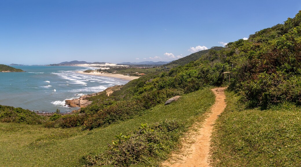 Panorama of Trail to Barra de Ibiraquera beach