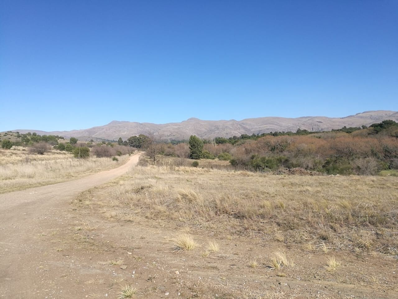 Sendero por el arroyo Belisario