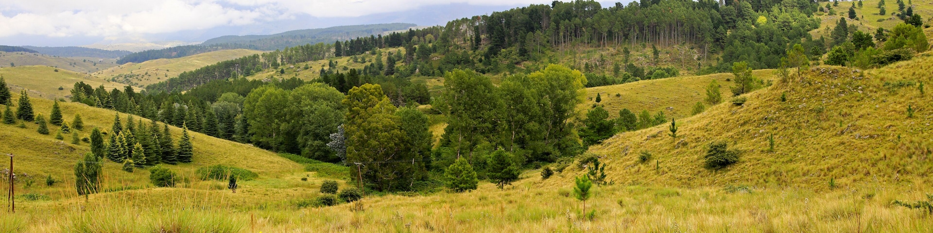 Vista panoramica de bosques y cerros Cordoba, en Argentina