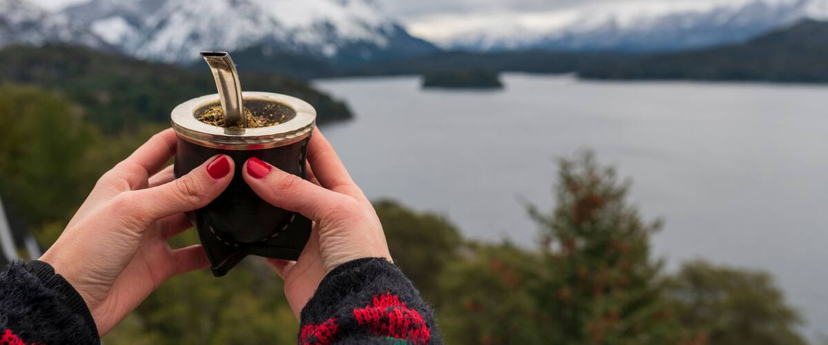 A person holding a yerba mate cup with a snowy mountain range and a lake in the background.