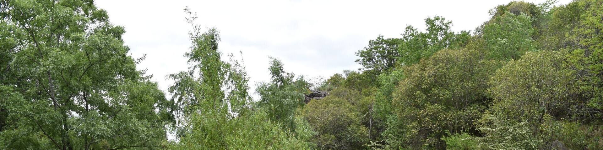 Bello paisaje de un riacho de la localidad de La Falda, provincia de CĂłrdoba.