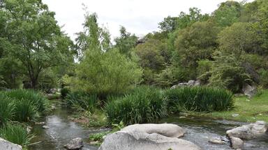 Bello paisaje de un riacho de la localidad de La Falda, provincia de Córdoba.