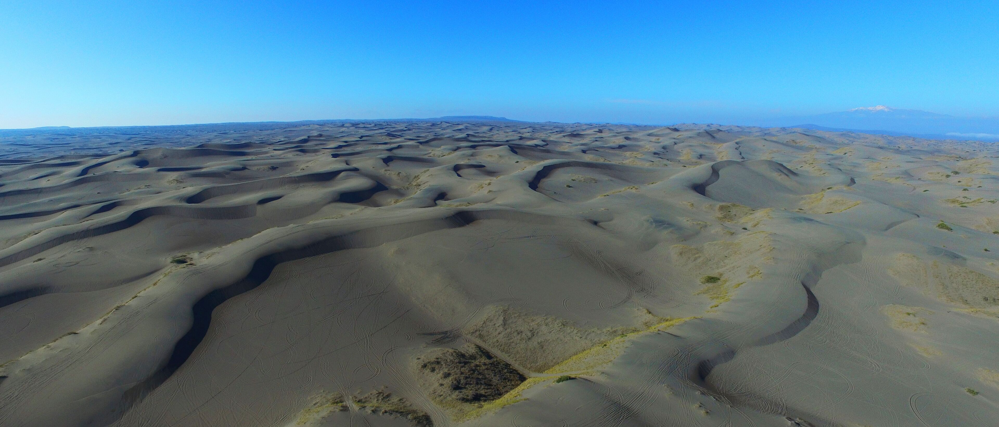 A vast desert landscape with undulating sand dunes under a clear blue sky.