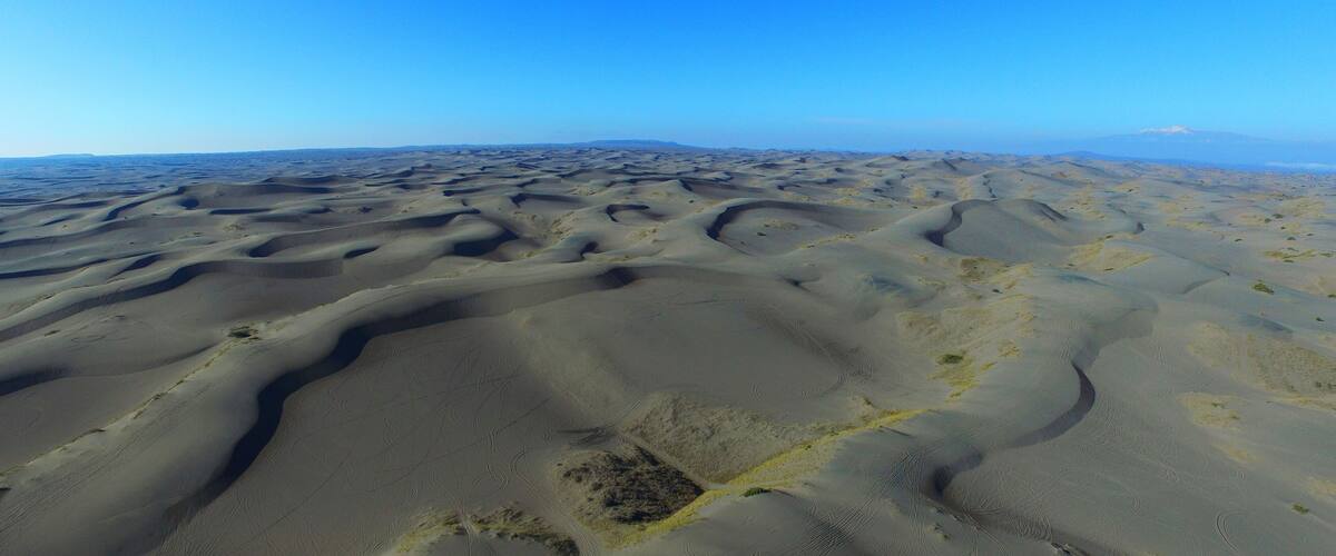 A vast desert landscape with undulating sand dunes under a clear blue sky.