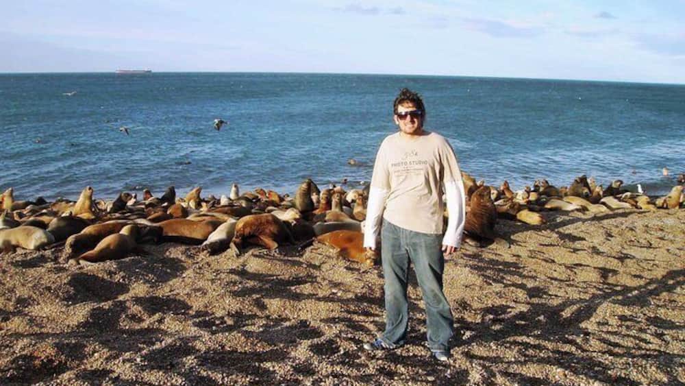 Une personne se tient sur une plage rocheuse, et on peut voir, au loin, un grand groupe d’otaries.