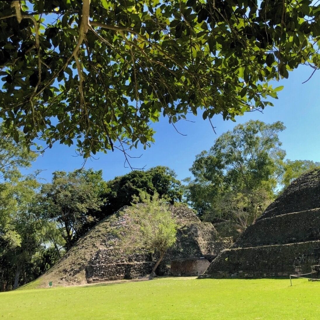 A large ancient pyramid surrounded by lush greenery and trees.