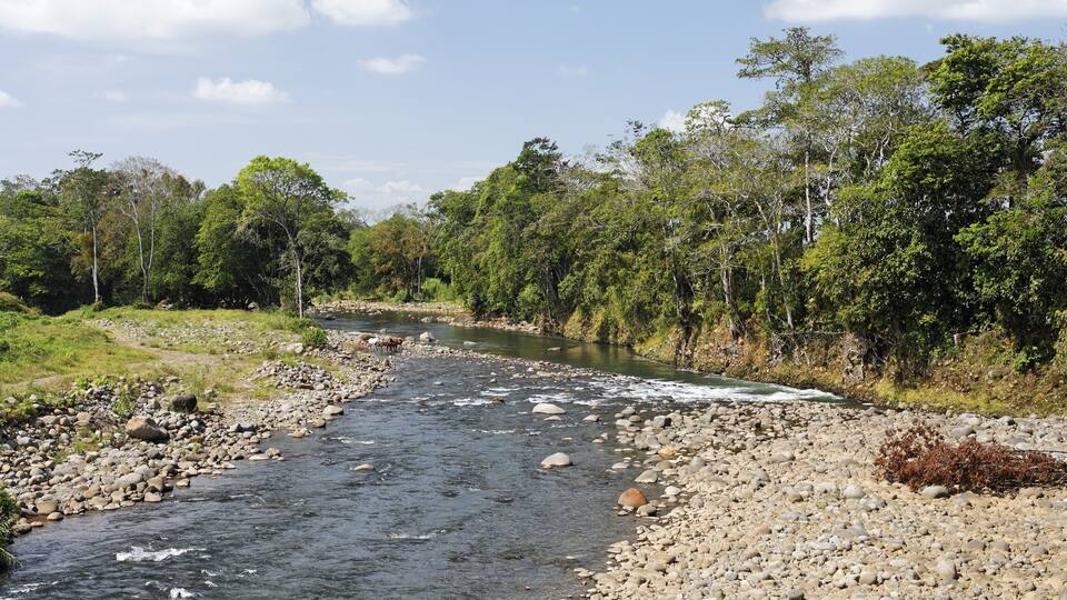 Rio Tres Amigos near Pital, Costa Rica, Central America