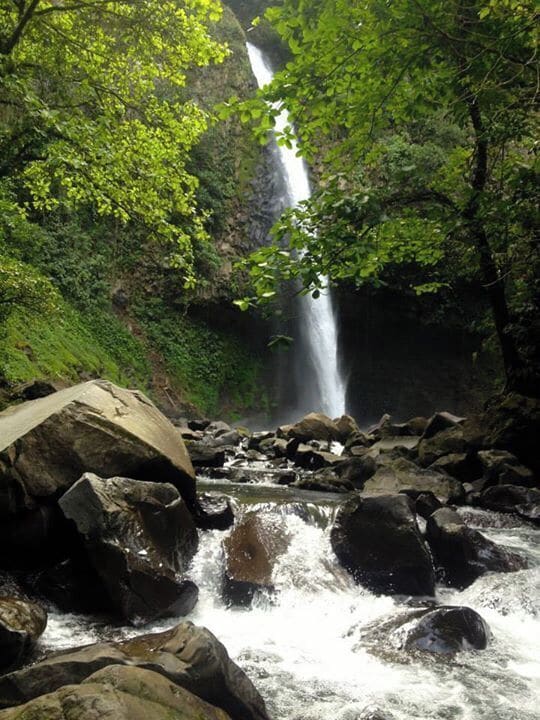 A waterfall surrounded by rocks and lush green foliage.
