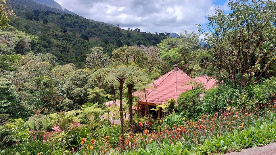 A lush garden with a red-roofed building amidst dense greenery and flowering plants.