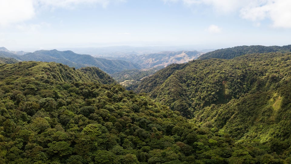 A lush, green valley surrounded by forested hills.