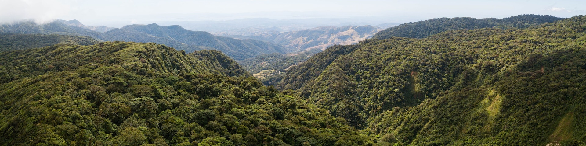 Un valle exuberante y verde, rodeado de colinas boscosas.