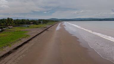 A beach with a long stretch of sand, a calm sea, and a line of palm trees in the background.