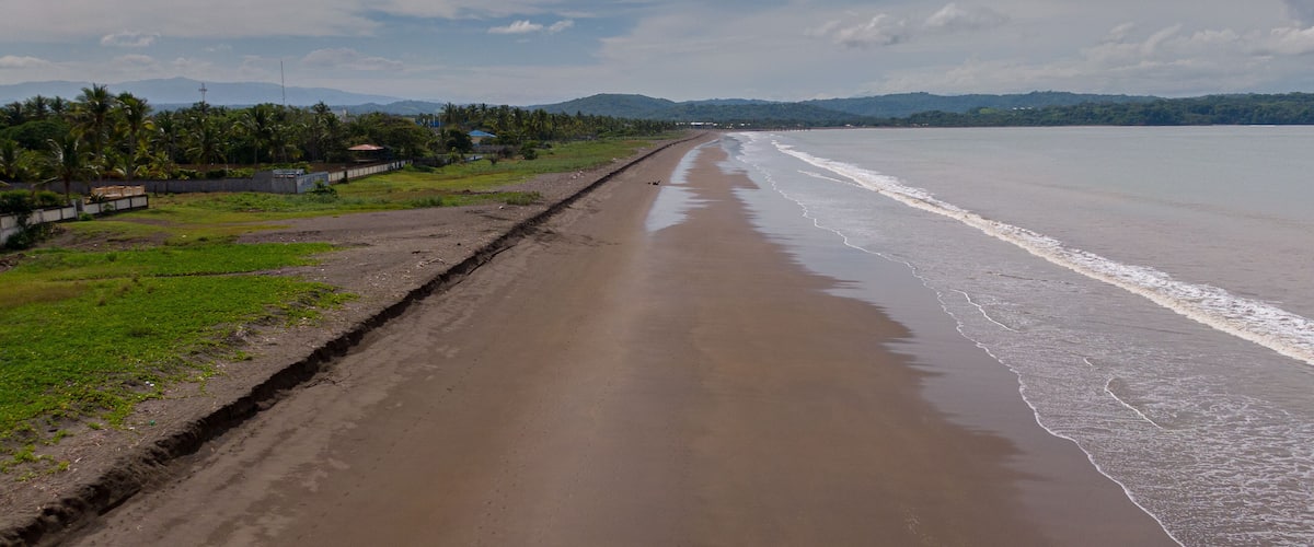 A beach with a long stretch of sand, a calm sea, and a line of palm trees in the background.