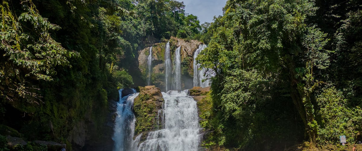 A waterfall surrounded by lush greenery.