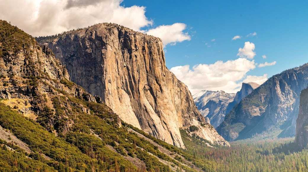 Panorama Yosemite National Park im Gegenlicht