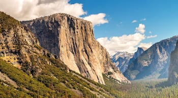 Panorama Yosemite National Park im Gegenlicht