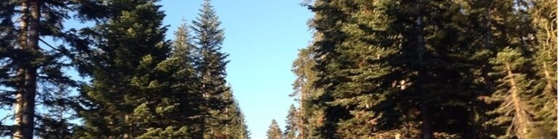 🚙🚗🚙🚗🚙🚗🚙🚗🚙🚗🚙 driving through #Yosemite #nationalpark #toottootbeepbeep #ruffiansroadtrip ☀🌲🍃🌲🍃🌲🍃🌲🍃🌲🍃