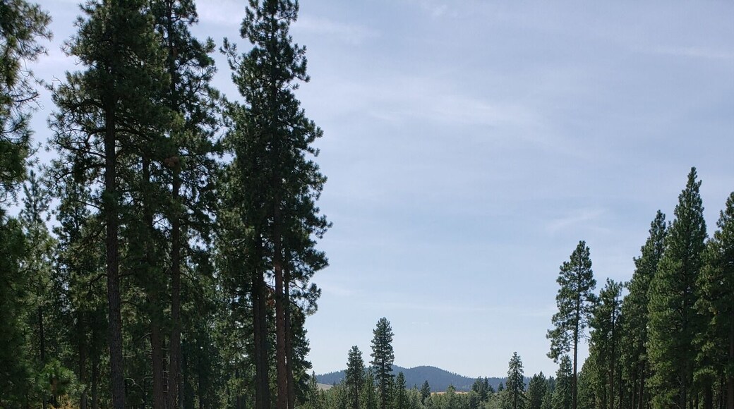 Beautiful course. Breathtaking views. Excellent staff. Equal to Coeur d'Alene