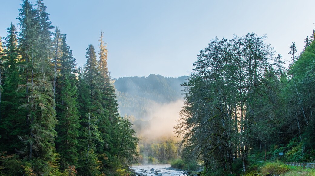 Early Morning Mist over the Stillaguamish River with Autumn Color along the Mountain Loop Highway in Washington State in October
