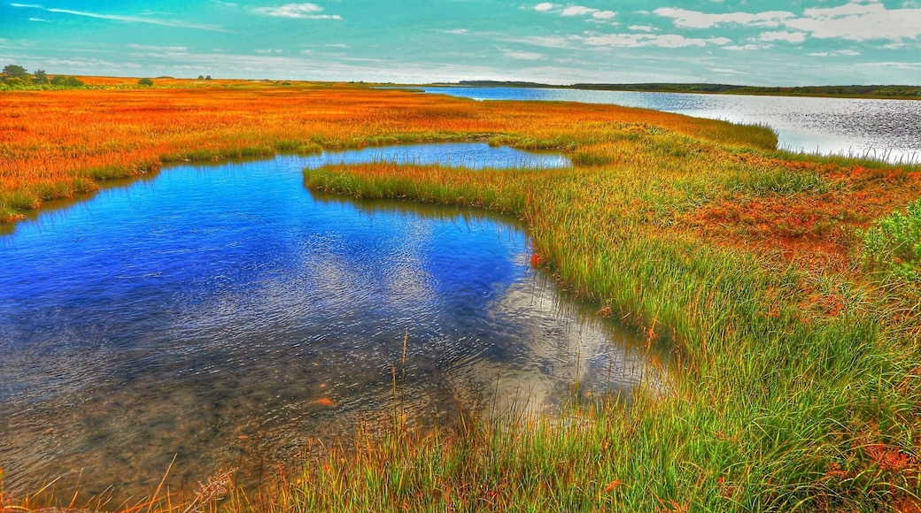 What great lighting can produce!