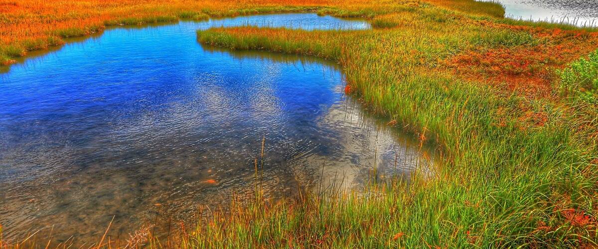 What great lighting can produce!