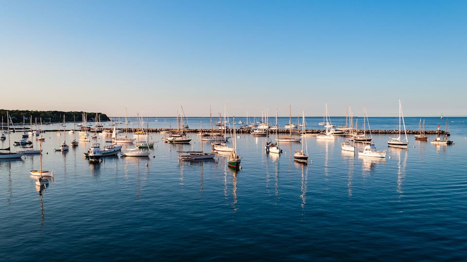 A marina with numerous sailboats docked at the pier.