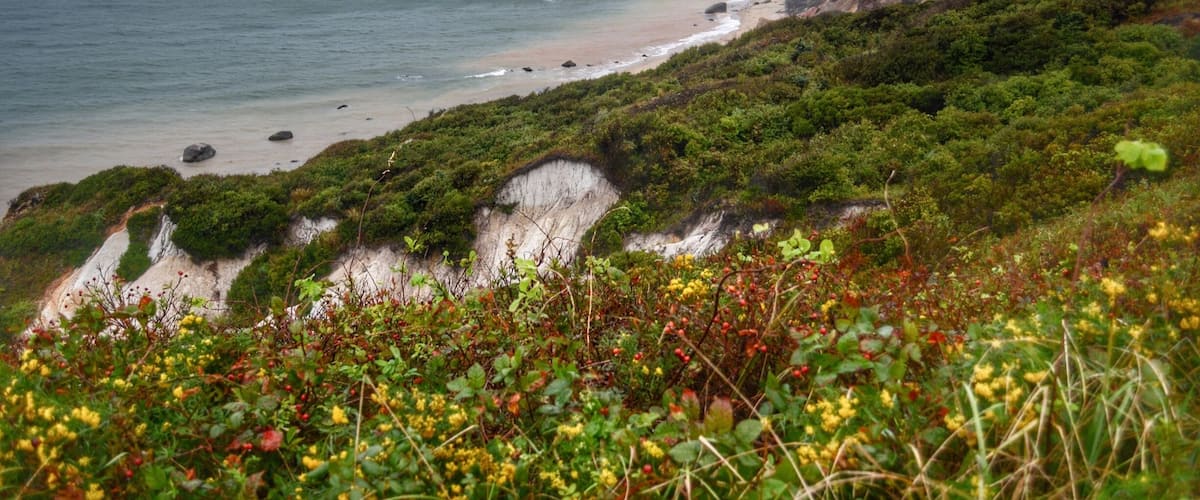 Very challenging conditions. Rainy and windy. Nevertheless I was able to get a few good shots. #nature #landsacpe #waterlust #colorful #seascape #beachlife #NikonD7100. Aquinnah Cliff