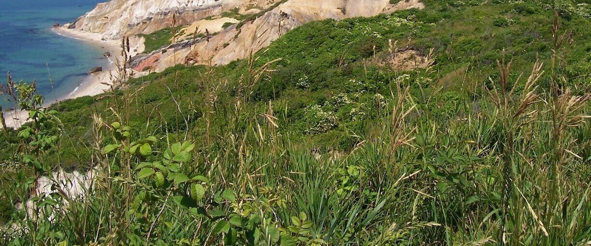Lighthouse point at Martha's Vineyard.