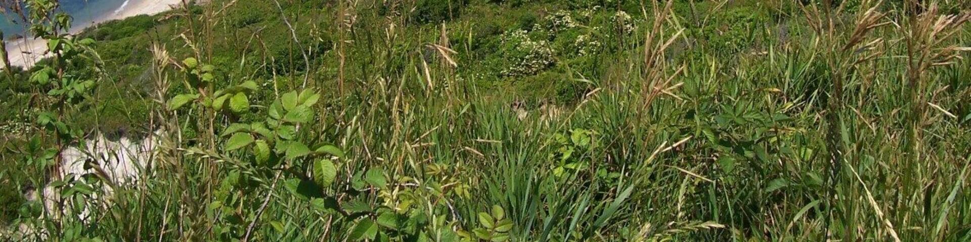 Lighthouse point at Martha's Vineyard.