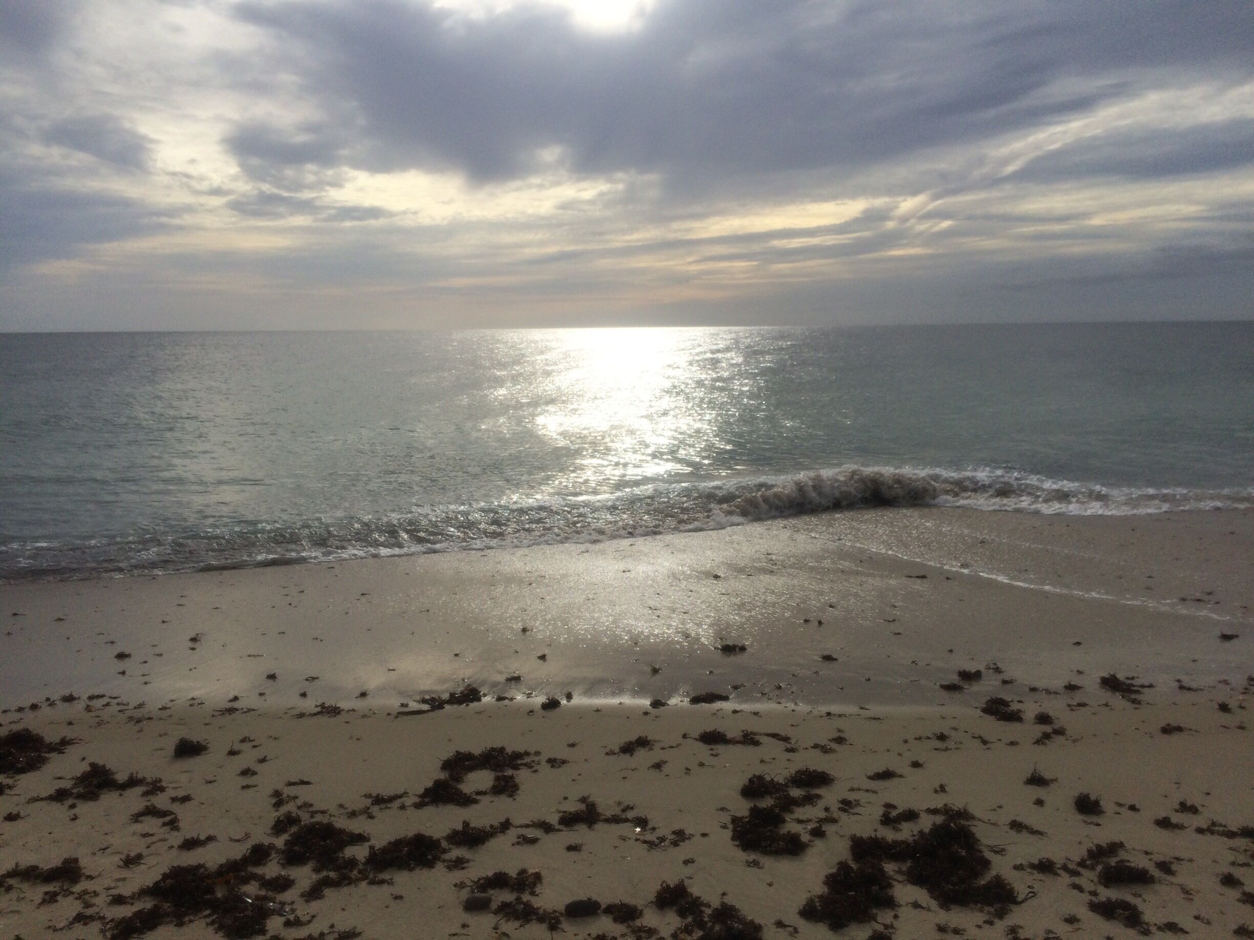 Beautiful Ocean View