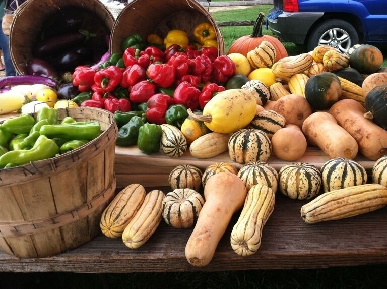 A variety of vegetables including bell peppers, squash, and pumpkins on a wooden table.