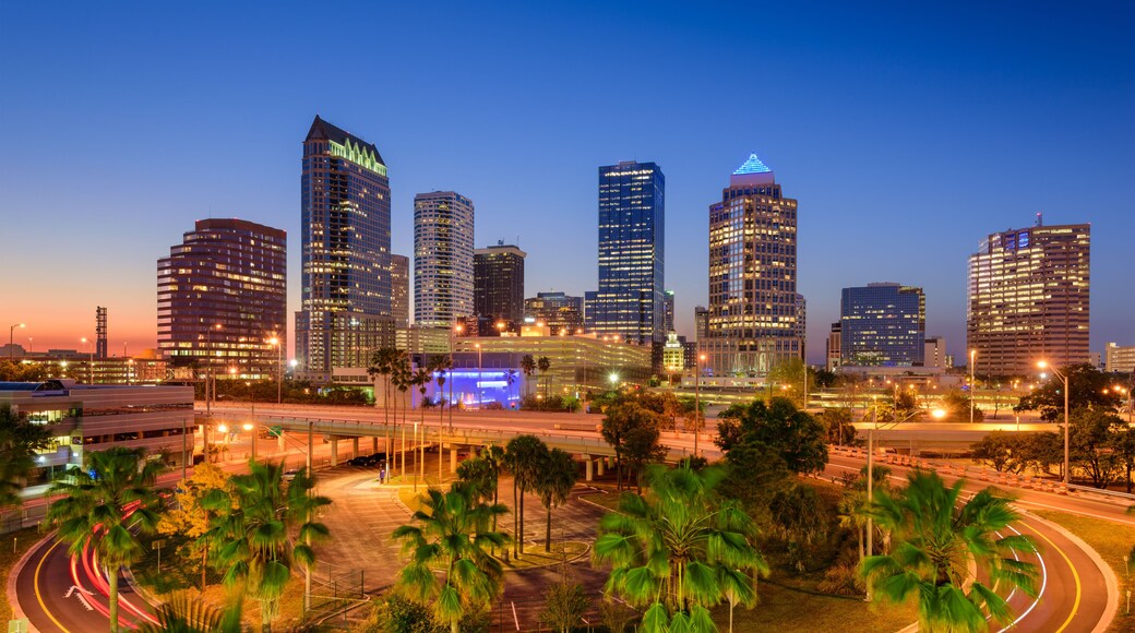 Tampa Florida Skyline