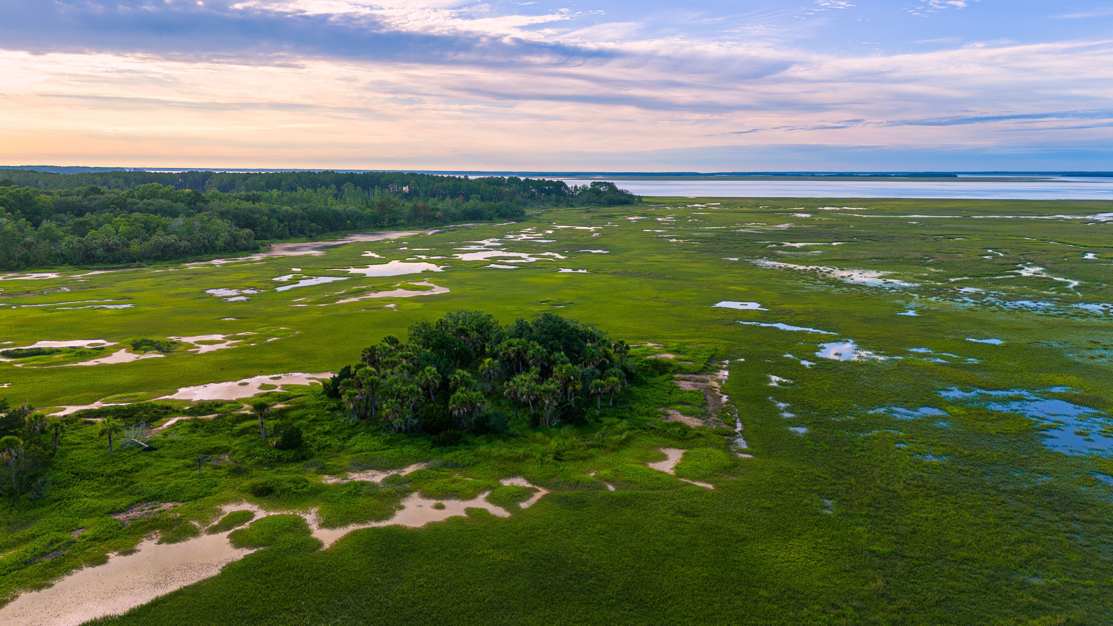 Aerial drone view of low county sc