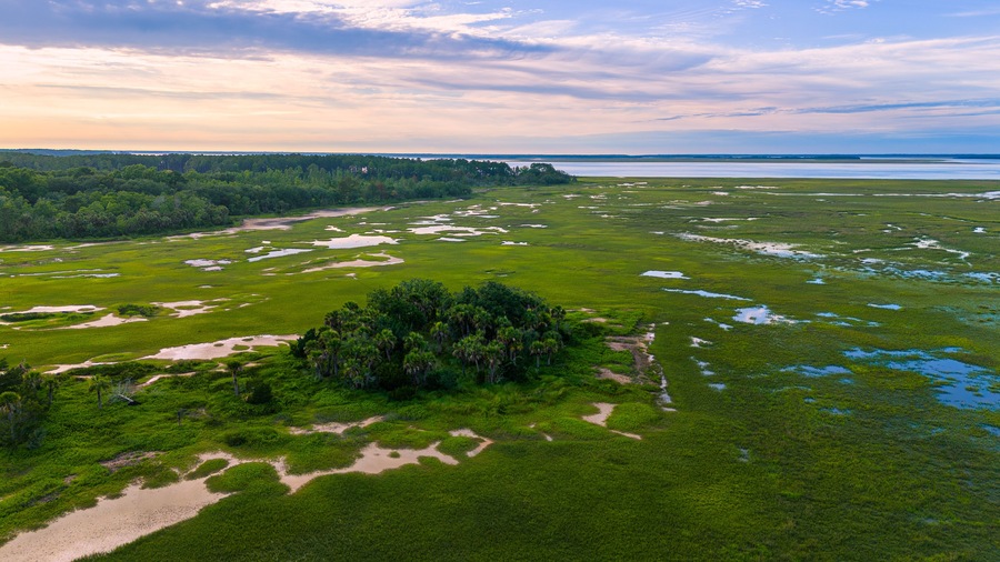 Aerial drone view of low county sc