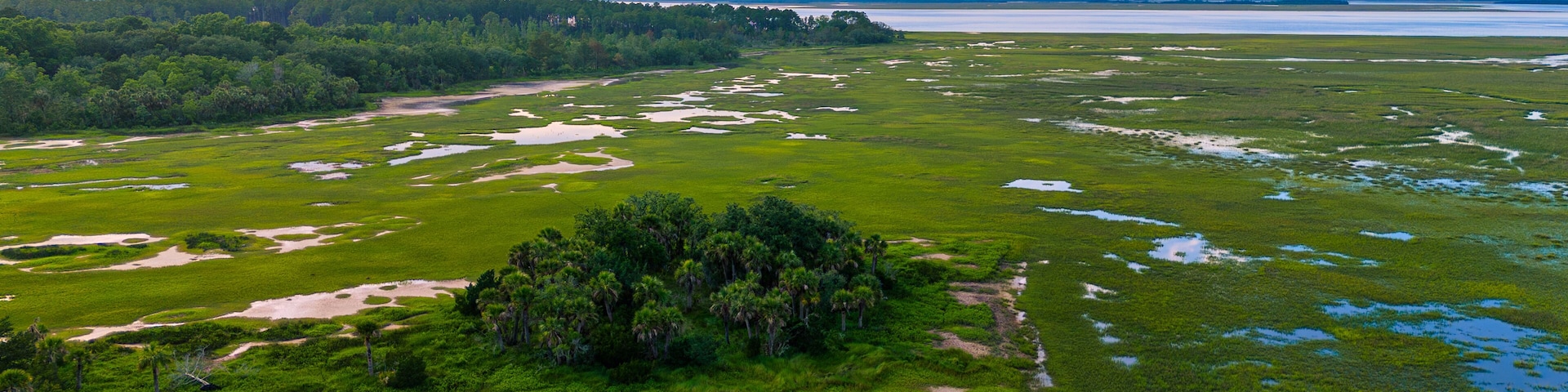 Aerial drone view of low county sc