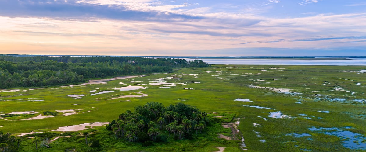 A coastal landscape with green vegetation, sandy areas, and a forested area in the distance.