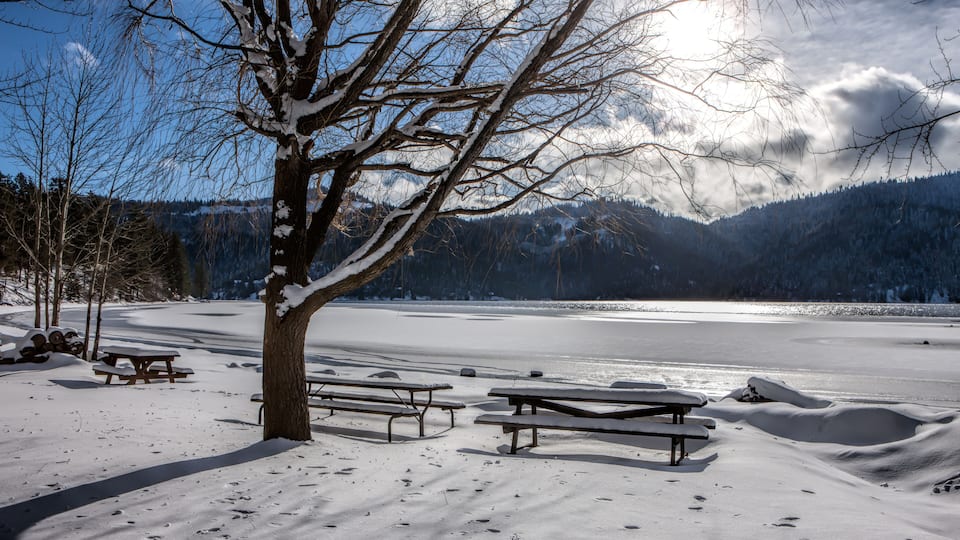 A snow-covered picnic area with benches and a tree in a mountainous landscape.