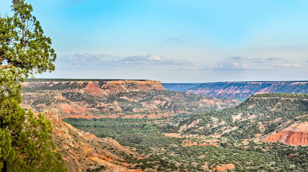 Scenic, panoramic view over the Palo Duro Canyon State Park, Texas