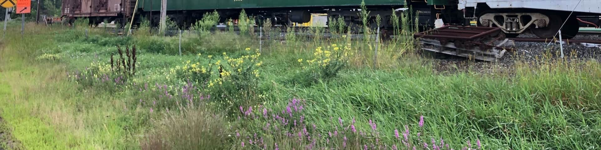 Right before the bridge there are these cool old railway cars