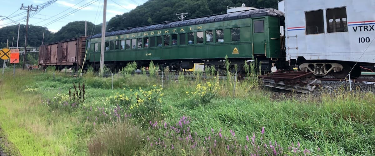 A vintage train with 'GREEN MOUNTAIN' written on it, passing through a rural area with greenery and power lines.