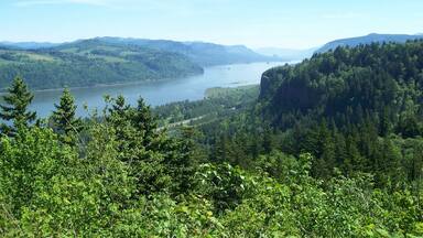 Nice view of the magnificent Columbia River. Just imagine Lewis and Clark sailing this when searching for Pacific Ocean.
